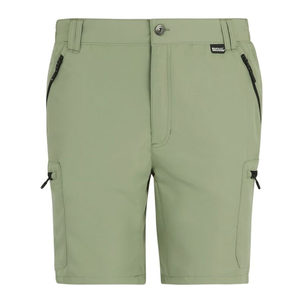 Regatta Mens Leesville III Shorts / Light Sage